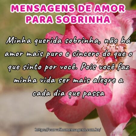 Minha querida sobrinha, não há amor mais puro e sincero do que o que sinto por você. Pois você faz minha vida ser mais alegre a cada dia que passa.