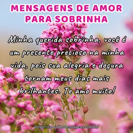 Minha querida sobrinha, você é um presente precioso na minha vida, pois sua alegria e doçura tornam meus dias mais brilhantes. Te amo muito!