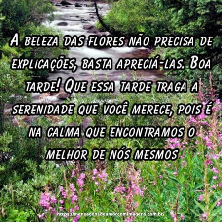 A beleza das flores não precisa de explicações, basta apreciá-las. Boa tarde! Que essa tarde traga a serenidade que você merece, pois é na calma que encontramos o melhor de nós mesmos.