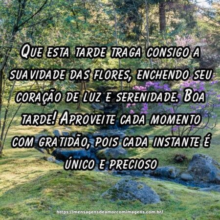 Que esta tarde traga consigo a suavidade das flores, enchendo seu coração de luz e serenidade. Boa tarde! Aproveite cada momento com gratidão, pois cada instante é único e precioso.