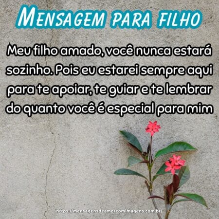 Meu filho amado, você nunca estará sozinho. Pois eu estarei sempre aqui para te apoiar, te guiar e te lembrar do quanto você é especial para mim.