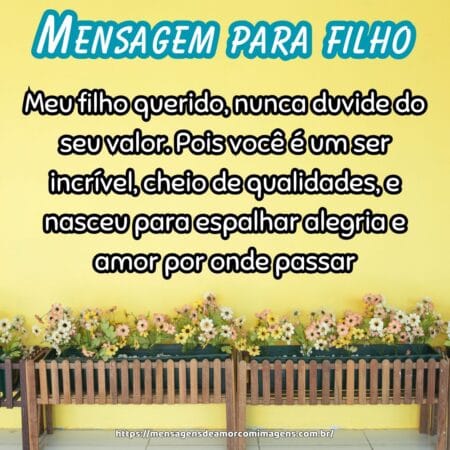 Meu filho querido, nunca duvide do seu valor. Pois você é um ser incrível, cheio de qualidades, e nasceu para espalhar alegria e amor por onde passar.