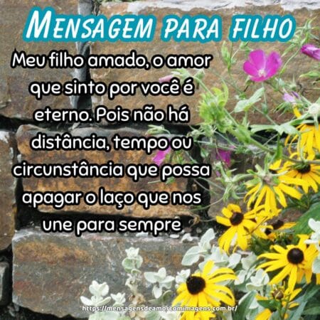 Meu filho amado, o amor que sinto por você é eterno. Pois não há distância, tempo ou circunstância que possa apagar o laço que nos une para sempre.
