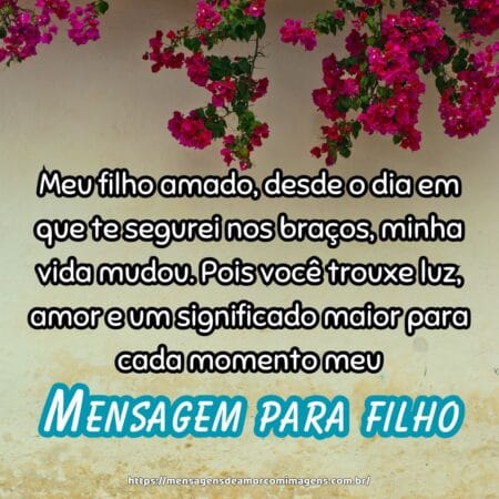 Meu filho amado, desde o dia em que te segurei nos braços, minha vida mudou. Pois você trouxe luz, amor e um significado maior para cada momento meu.