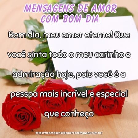 Bom dia, meu amor eterno! Que você sinta todo o meu carinho e admiração hoje, pois você é a pessoa mais incrível e especial que conheço.