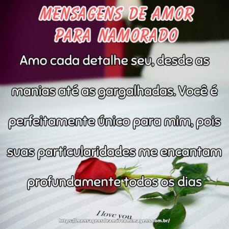 Amo cada detalhe seu, desde as manias até as gargalhadas. Você é perfeitamente único para mim, pois suas particularidades me encantam profundamente todos os dias.