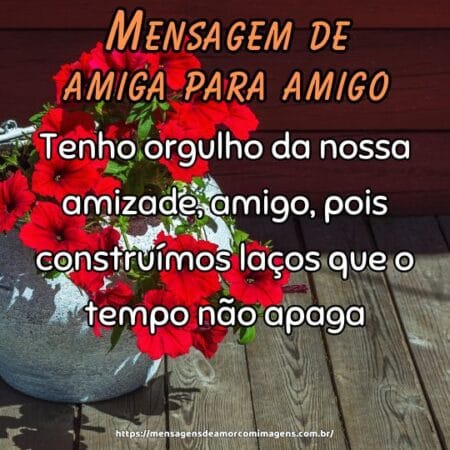 Tenho orgulho da nossa amizade, amigo, pois construímos laços que o tempo não apaga.