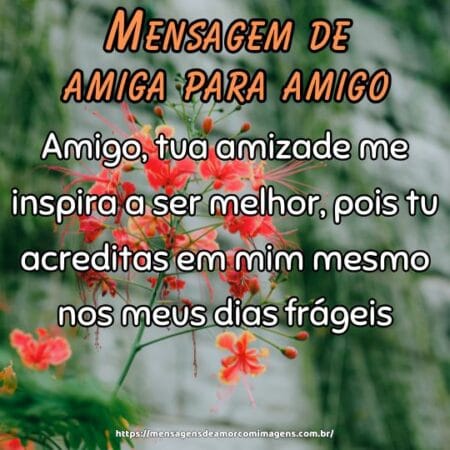 Amigo, tua amizade me inspira a ser melhor, pois tu acreditas em mim mesmo nos meus dias frágeis.