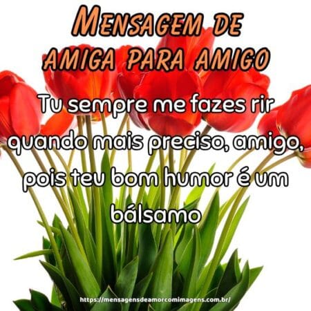 Tu sempre me fazes rir quando mais preciso, amigo, pois teu bom humor é um bálsamo.