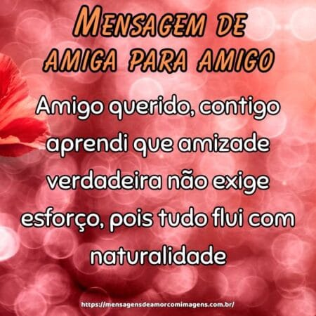 Amigo querido, contigo aprendi que amizade verdadeira não exige esforço, pois tudo flui com naturalidade.