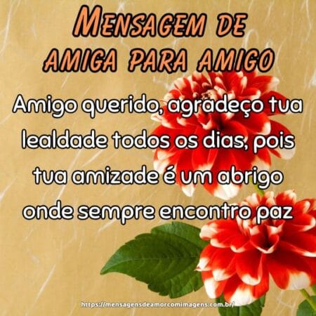 Amigo querido, agradeço tua lealdade todos os dias, pois tua amizade é um abrigo onde sempre encontro paz.
