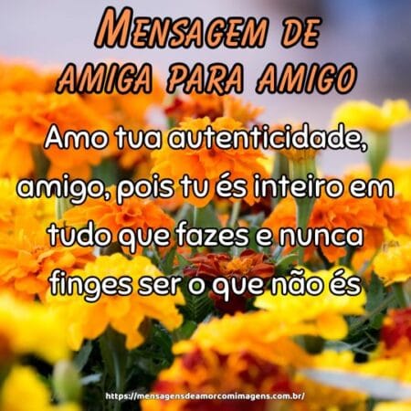 Amo tua autenticidade, amigo, pois tu és inteiro em tudo que fazes e nunca finges ser o que não és.