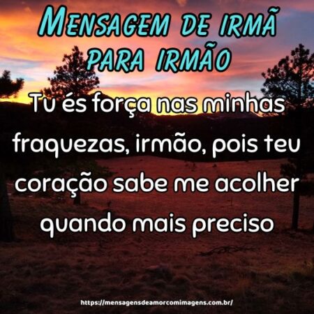 Tu és força nas minhas fraquezas, irmão, pois teu coração sabe me acolher quando mais preciso.