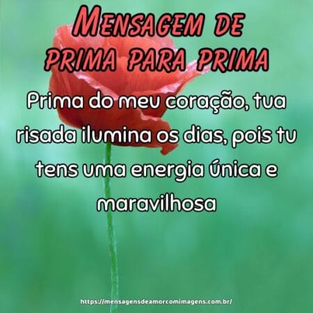 Prima do meu coração, tua risada ilumina os dias, pois tu tens uma energia única e maravilhosa.