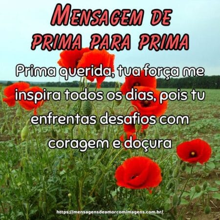 Prima querida, tua força me inspira todos os dias, pois tu enfrentas desafios com coragem e doçura.