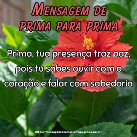 Prima, tua presença traz paz, pois tu sabes ouvir com o coração e falar com sabedoria.
