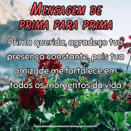 Prima querida, agradeço tua presença constante, pois tua amizade me fortalece em todos os momentos da vida.