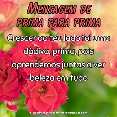 Crescer ao teu lado foi uma dádiva, prima, pois aprendemos juntas a ver beleza em tudo.