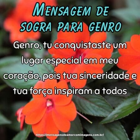 Genro, tu conquistaste um lugar especial em meu coração, pois tua sinceridade e tua força inspiram a todos.