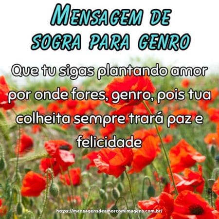 Que tu sigas plantando amor por onde fores, genro, pois tua colheita sempre trará paz e felicidade.