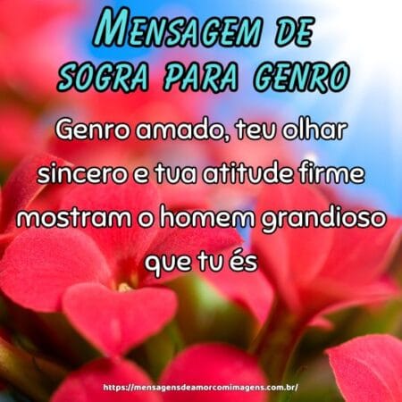 Genro amado, teu olhar sincero e tua atitude firme mostram o homem grandioso que tu és.