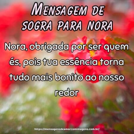 Nora, obrigada por ser quem és, pois tua essência torna tudo mais bonito ao nosso redor.