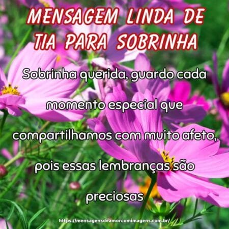 Sobrinha querida, guardo cada momento especial que compartilhamos com muito afeto, pois essas lembranças são preciosas.
