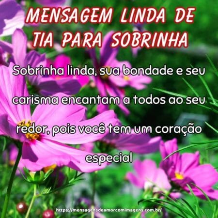 Sobrinha linda, sua bondade e seu carisma encantam a todos ao seu redor, pois você tem um coração especial.