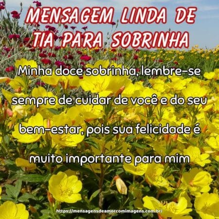 Minha doce sobrinha, lembre-se sempre de cuidar de você e do seu bem-estar, pois sua felicidade é muito importante para mim.