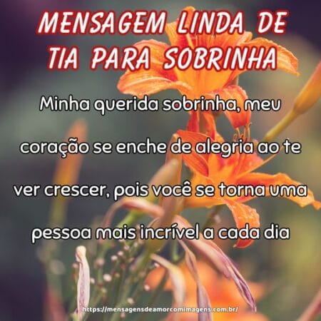 Minha querida sobrinha, meu coração se enche de alegria ao te ver crescer, pois você se torna uma pessoa mais incrível a cada dia.