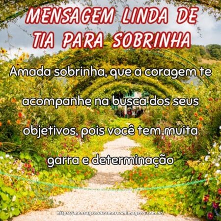 Amada sobrinha, que a coragem te acompanhe na busca dos seus objetivos, pois você tem muita garra e determinação.