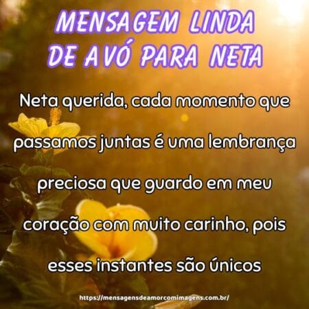 Neta querida, cada momento que passamos juntas é uma lembrança preciosa que guardo em meu coração com muito carinho, pois esses instantes são únicos.