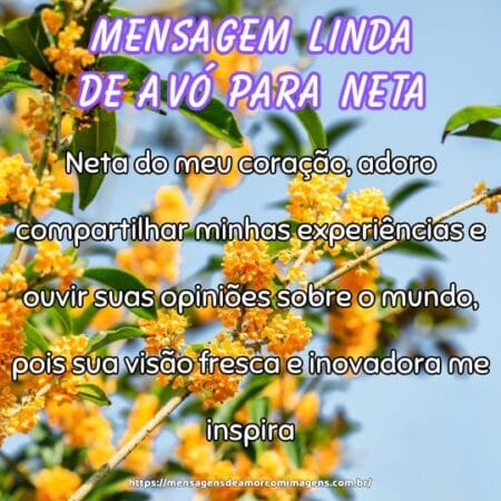 Neta do meu coração, adoro compartilhar minhas experiências e ouvir suas opiniões sobre o mundo, pois sua visão fresca e inovadora me inspira.
