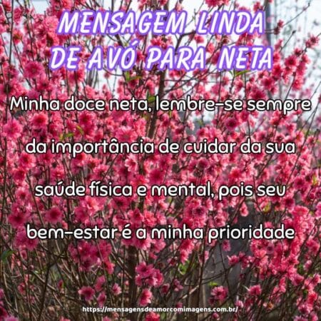 Minha doce neta, lembre-se sempre da importância de cuidar da sua saúde física e mental, pois seu bem-estar é a minha prioridade.