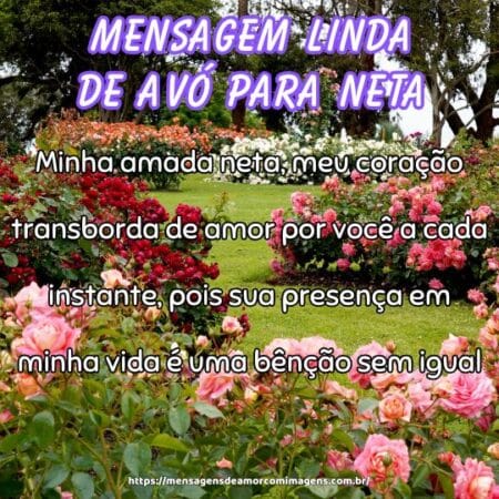 Minha amada neta, meu coração transborda de amor por você a cada instante, pois sua presença em minha vida é uma bênção sem igual.