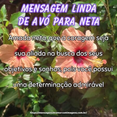 Amada neta, que a coragem seja sua aliada na busca dos seus objetivos e sonhos, pois você possui uma determinação admirável.