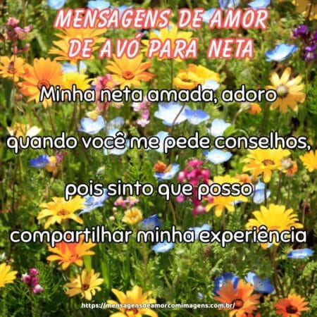 Minha neta amada, adoro quando você me pede conselhos, pois sinto que posso compartilhar minha experiência.