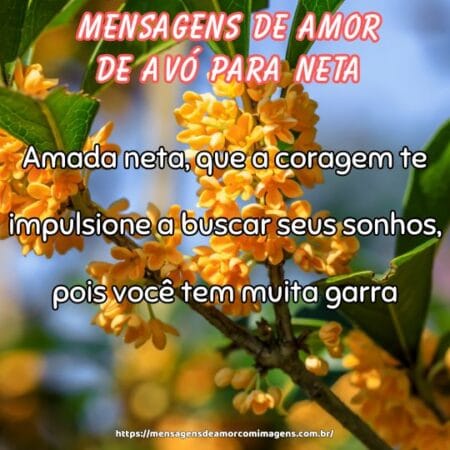 Amada neta, que a coragem te impulsione a buscar seus sonhos, pois você tem muita garra.