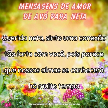 Querida neta, sinto uma conexão tão forte com você, pois parece que nossas almas se conhecem há muito tempo.