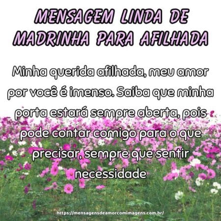 Minha querida afilhada, meu amor por você é imenso. Saiba que minha porta estará sempre aberta, pois pode contar comigo para o que precisar, sempre que sentir necessidade.