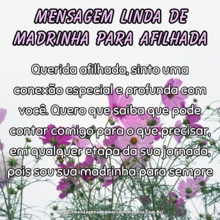 Querida afilhada, sinto uma conexão especial e profunda com você. Quero que saiba que pode contar comigo para o que precisar, em qualquer etapa da sua jornada, pois sou sua madrinha para sempre.