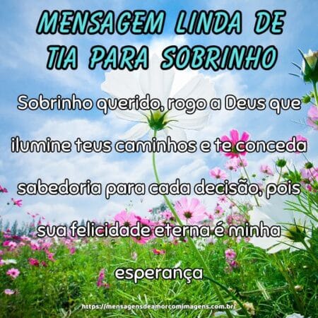 Sobrinho querido, rogo a Deus que ilumine teus caminhos e te conceda sabedoria para cada decisão, pois sua felicidade eterna é minha esperança.