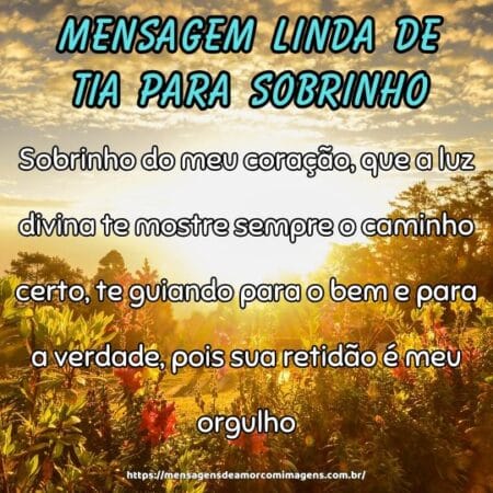 Sobrinho do meu coração, que a luz divina te mostre sempre o caminho certo, te guiando para o bem e para a verdade, pois sua retidão é meu orgulho.