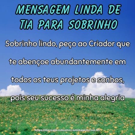 Sobrinho lindo, peço ao Criador que te abençoe abundantemente em todos os teus projetos e sonhos, pois seu sucesso é minha alegria.