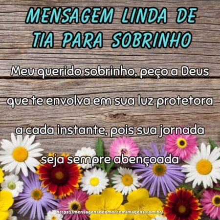 Meu querido sobrinho, peço a Deus que te envolva em sua luz protetora a cada instante, pois sua jornada seja sempre abençoada.