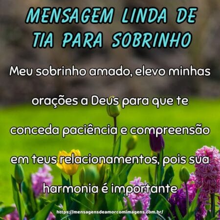 Meu sobrinho amado, elevo minhas orações a Deus para que te conceda paciência e compreensão em teus relacionamentos, pois sua harmonia é importante.
