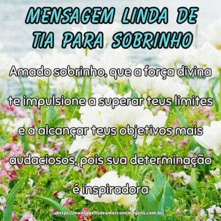 Amado sobrinho, que a força divina te impulsione a superar teus limites e a alcançar teus objetivos mais audaciosos, pois sua determinação é inspiradora.