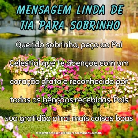 Querido sobrinho, peço ao Pai Celestial que te abençoe com um coração grato e reconhecido por todas as bênçãos recebidas. Pois sua gratidão atrai mais coisas boas.