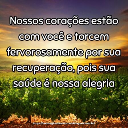 Nossos corações estão com você e torcem fervorosamente por sua recuperação, pois sua saúde é nossa alegria.