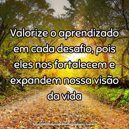 Valorize o aprendizado em cada desafio, pois eles nos fortalecem e expandem nossa visão da vida.